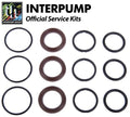 Interpump Service/Repair Kit 141