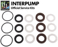 Interpump Service/Repair Kit 273