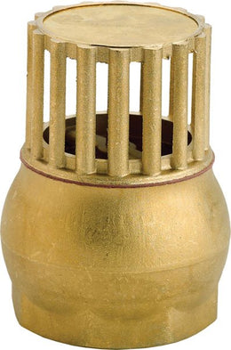 Brass Foot Filter with Valve