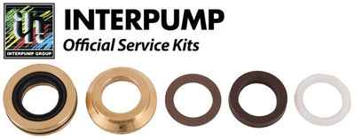 Interpump Service/Repair Kit 173