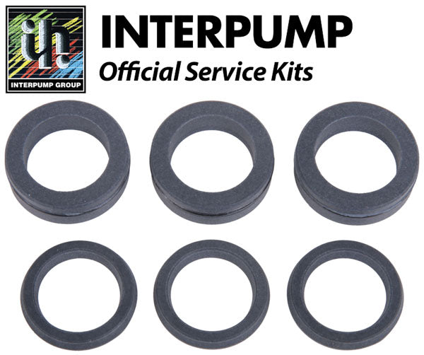 Interpump Service/Repair Kit 208