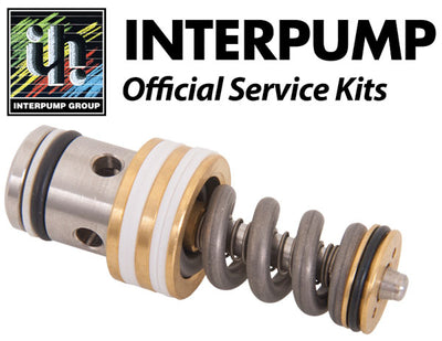 Interpump Service/Repair Kit 168