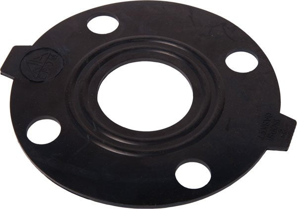 Banjo ANSI 150 Flange Gasket