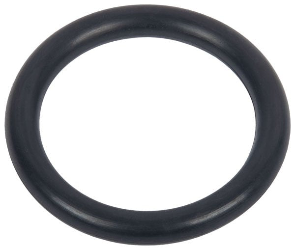 O Ring 1210004700