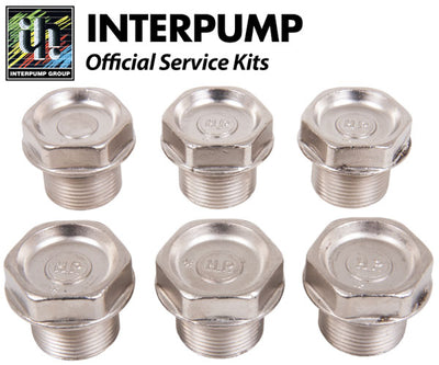 Interpump Service/Repair Kit 106