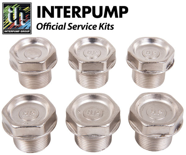 Interpump Service/Repair Kit 106