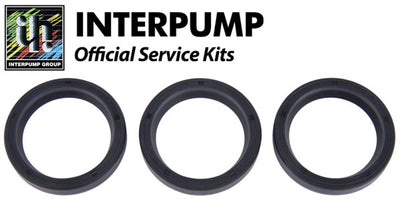 Interpump Service/Repair Kit 37