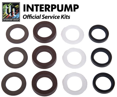 Interpump Service/Repair Kit 161