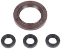 Oil Seal Kit 199-1110