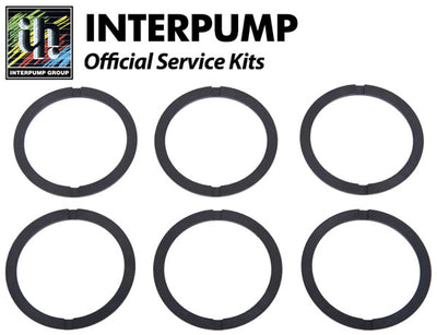Interpump Service/Repair Kit 48