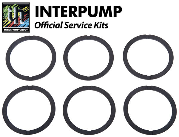 Interpump Service/Repair Kit 48