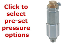 Pratissoli SX3 Safety Relief Valve - AISI 316