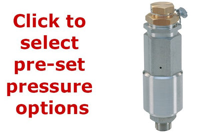 Pratissoli SX3 Safety Relief Valve - AISI 316