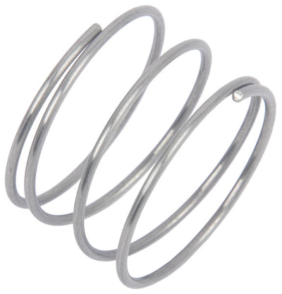 Valve Spring