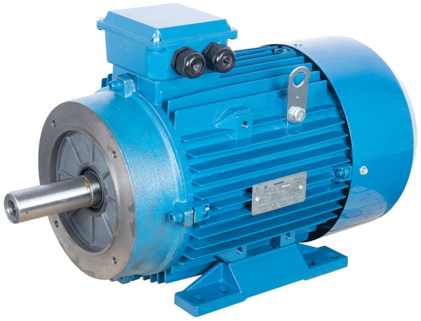 415V Electric Motor - 20.5 Hp - 1450 Rpm