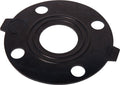 Banjo ANSI 150 Flange Gasket