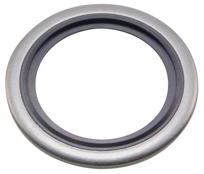 Dowty Washer - AISI 316 BW04SS