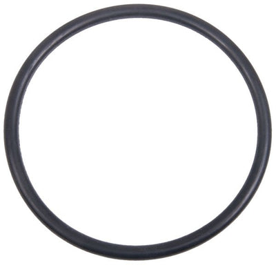 Banjo Filter Gasket