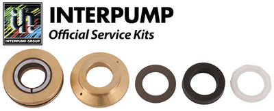 Interpump Service/Repair Kit 176