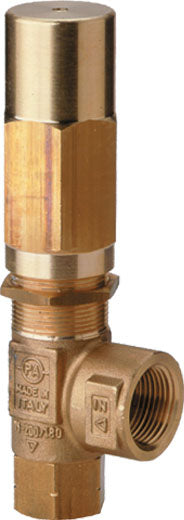 VS200/200 Pressure Regulator