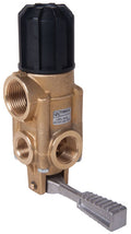 Interpump Timax Pressure Regulator