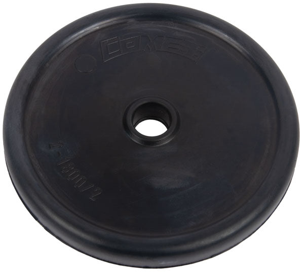 Diaphragm