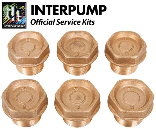 Interpump Service/Repair Kit 4