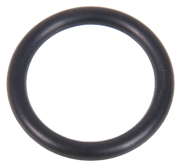 Drain Cap O Ring