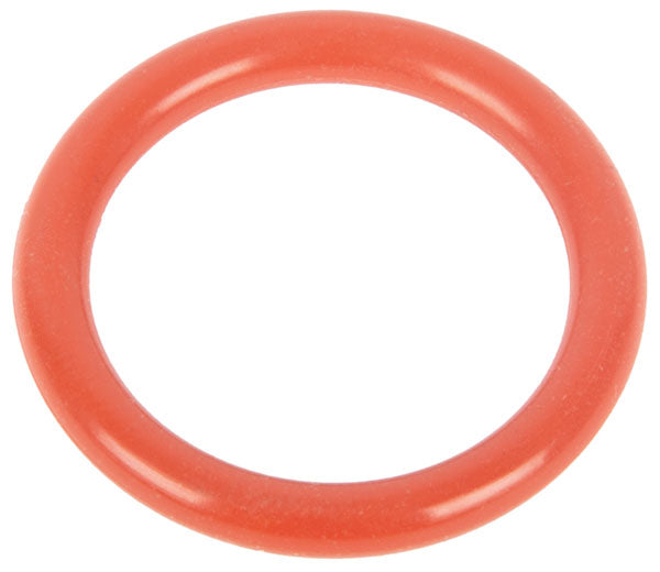 O Ring 1210005200