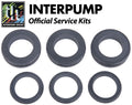 Interpump Service/Repair Kit 202