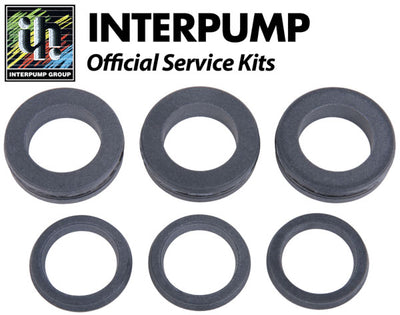 Interpump Service/Repair Kit 202