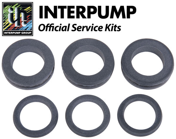 Interpump Service/Repair Kit 202