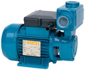 PM50A Volumetric Pump WP1021200