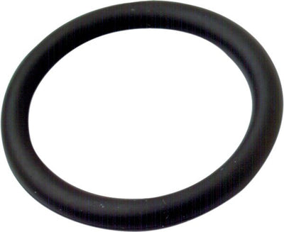 O Ring G00001029