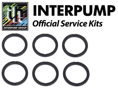 Interpump Service/Repair Kit 155