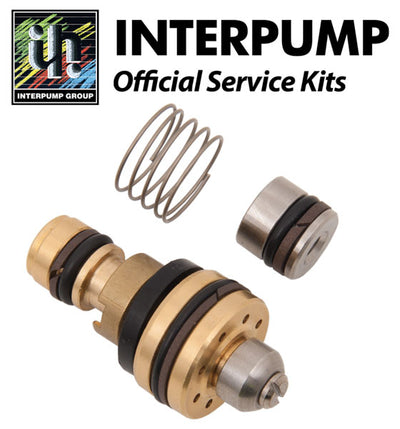 Interpump Service/Repair Kit 137