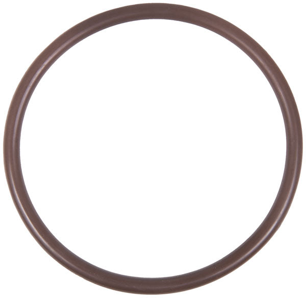 Banjo Filter Gasket