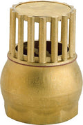 Brass Foot Filter with Valve