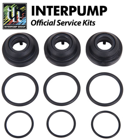Interpump Service/Repair Kit 146
