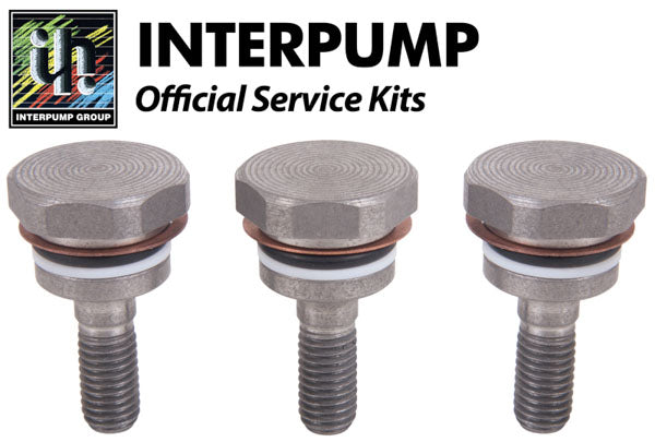 Interpump Service/Repair Kit 74